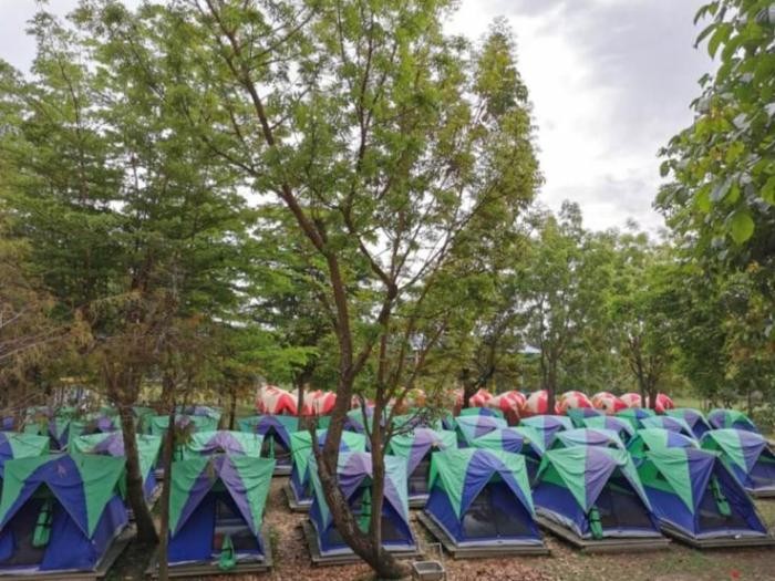 高雄一小學露營　逾300名學生遭罰跪